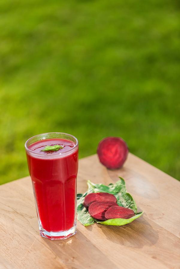 The Lifeco Antalya Well-Being Detox Center And Vegan Hotel Ngoại thất bức ảnh
